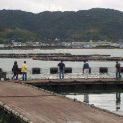 淡路じゃのひれフィッシングパーク 釣果