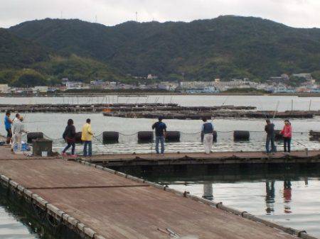 淡路じゃのひれフィッシングパーク 釣果
