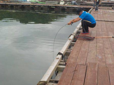 淡路じゃのひれフィッシングパーク 釣果