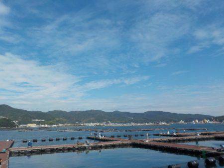 淡路じゃのひれフィッシングパーク 釣果