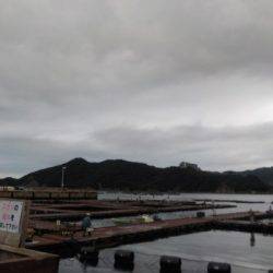 淡路じゃのひれフィッシングパーク 釣果