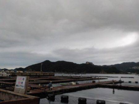 淡路じゃのひれフィッシングパーク 釣果