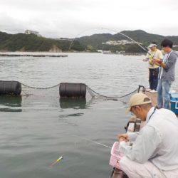 淡路じゃのひれフィッシングパーク 釣果