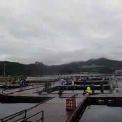 淡路じゃのひれフィッシングパーク 釣果