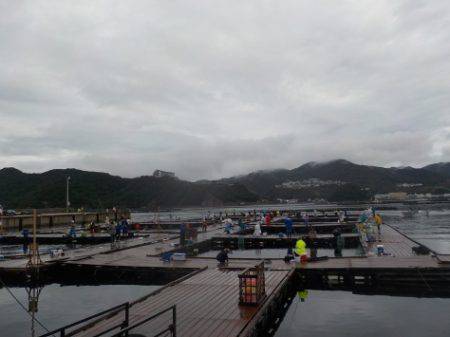 淡路じゃのひれフィッシングパーク 釣果