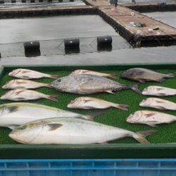 淡路じゃのひれフィッシングパーク 釣果