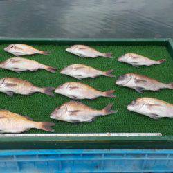 淡路じゃのひれフィッシングパーク 釣果