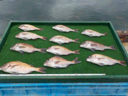 淡路じゃのひれフィッシングパーク 釣果