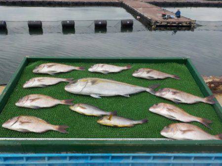 淡路じゃのひれフィッシングパーク 釣果
