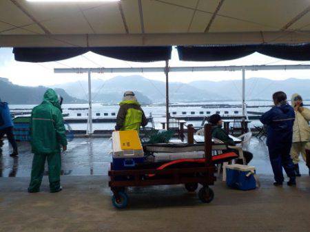 淡路じゃのひれフィッシングパーク 釣果