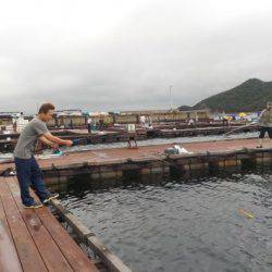 淡路じゃのひれフィッシングパーク 釣果