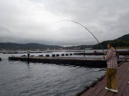 淡路じゃのひれフィッシングパーク 釣果