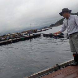 淡路じゃのひれフィッシングパーク 釣果