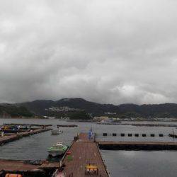 淡路じゃのひれフィッシングパーク 釣果