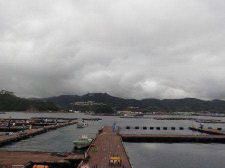 淡路じゃのひれフィッシングパーク 釣果