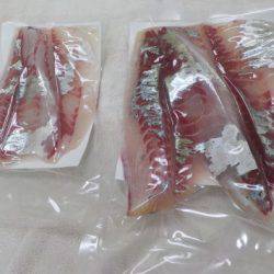 淡路じゃのひれフィッシングパーク 釣果