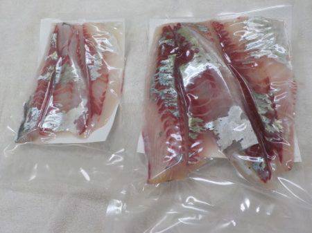 淡路じゃのひれフィッシングパーク 釣果