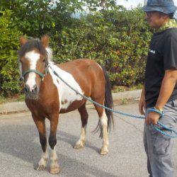 淡路じゃのひれフィッシングパーク 釣果