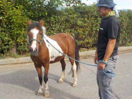 淡路じゃのひれフィッシングパーク 釣果