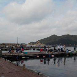 淡路じゃのひれフィッシングパーク 釣果