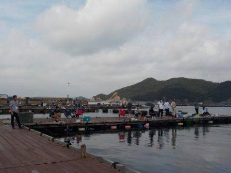 淡路じゃのひれフィッシングパーク 釣果