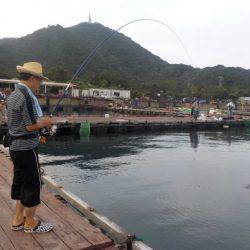 淡路じゃのひれフィッシングパーク 釣果