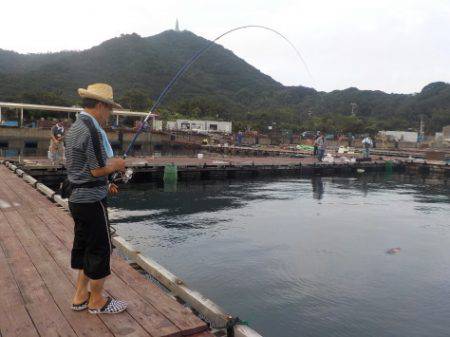 淡路じゃのひれフィッシングパーク 釣果