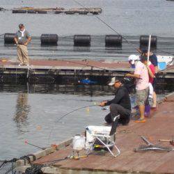 淡路じゃのひれフィッシングパーク 釣果