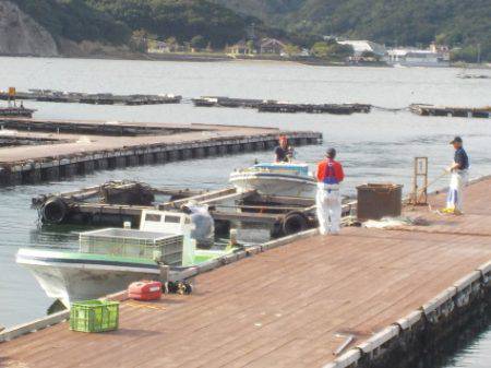 淡路じゃのひれフィッシングパーク 釣果