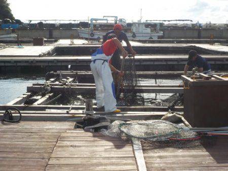 淡路じゃのひれフィッシングパーク 釣果