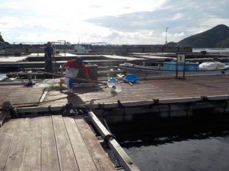 淡路じゃのひれフィッシングパーク 釣果