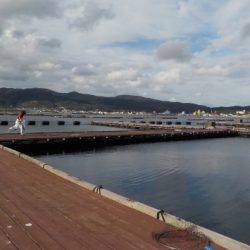 淡路じゃのひれフィッシングパーク 釣果