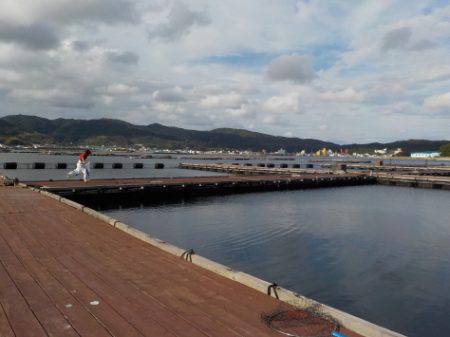 淡路じゃのひれフィッシングパーク 釣果