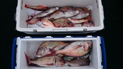 IDATEN(イダテン) 釣果