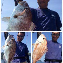 YELLOW-TAIL　イエローテール 釣果