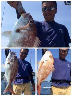 YELLOW-TAIL　イエローテール 釣果