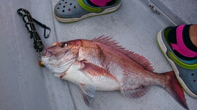 IDATEN(イダテン) 釣果