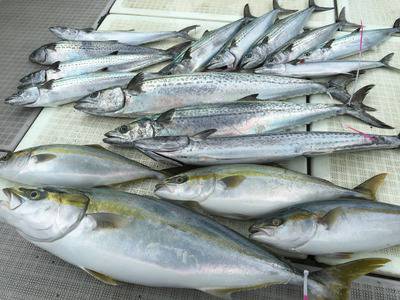 ミタチ丸 釣果