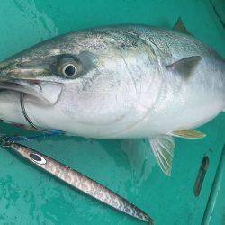 広進丸 釣果