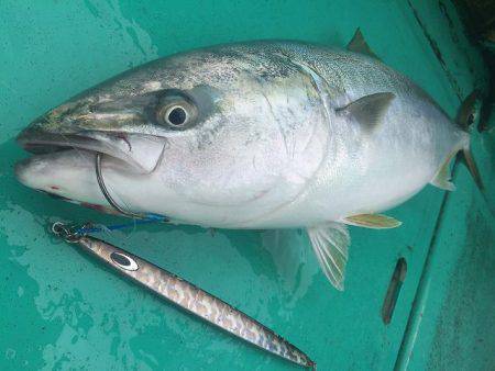 広進丸 釣果
