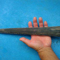 沖縄の釣船クレーンズ・鶴丸 釣果