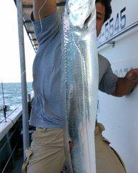 岡田釣船　八英丸 釣果