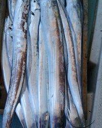 岡田釣船 八英丸 釣果