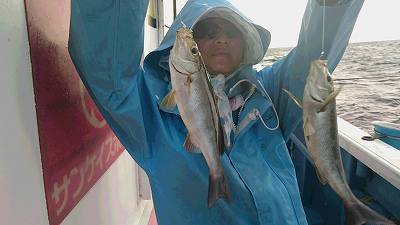 しまや丸 釣果