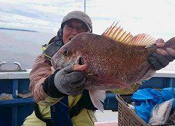 しまや丸 釣果