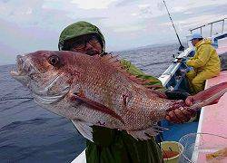 しまや丸 釣果
