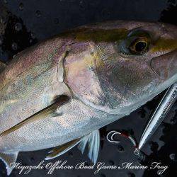 Marine Frog 釣果