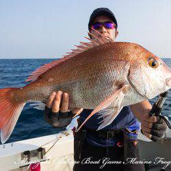 Marine Frog 釣果