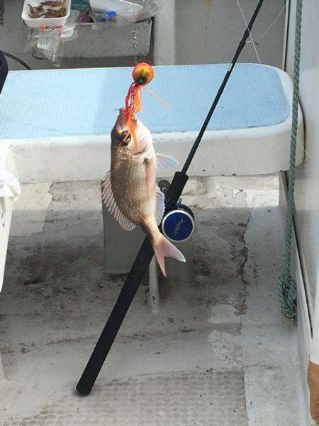 龍宮丸 釣果