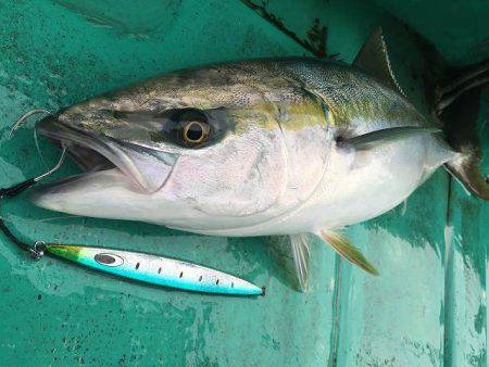 広進丸 釣果